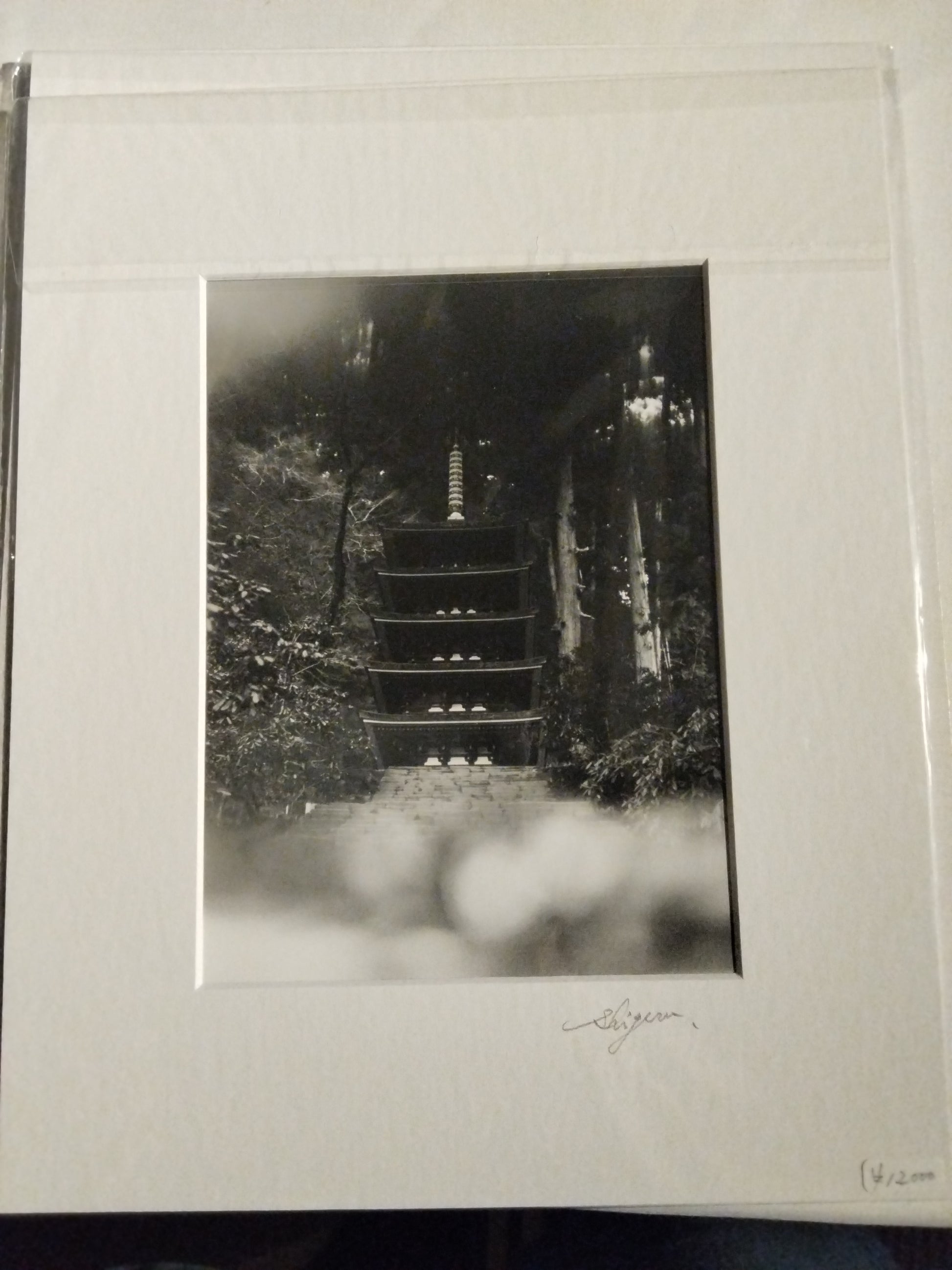 塔（日本、2017年）