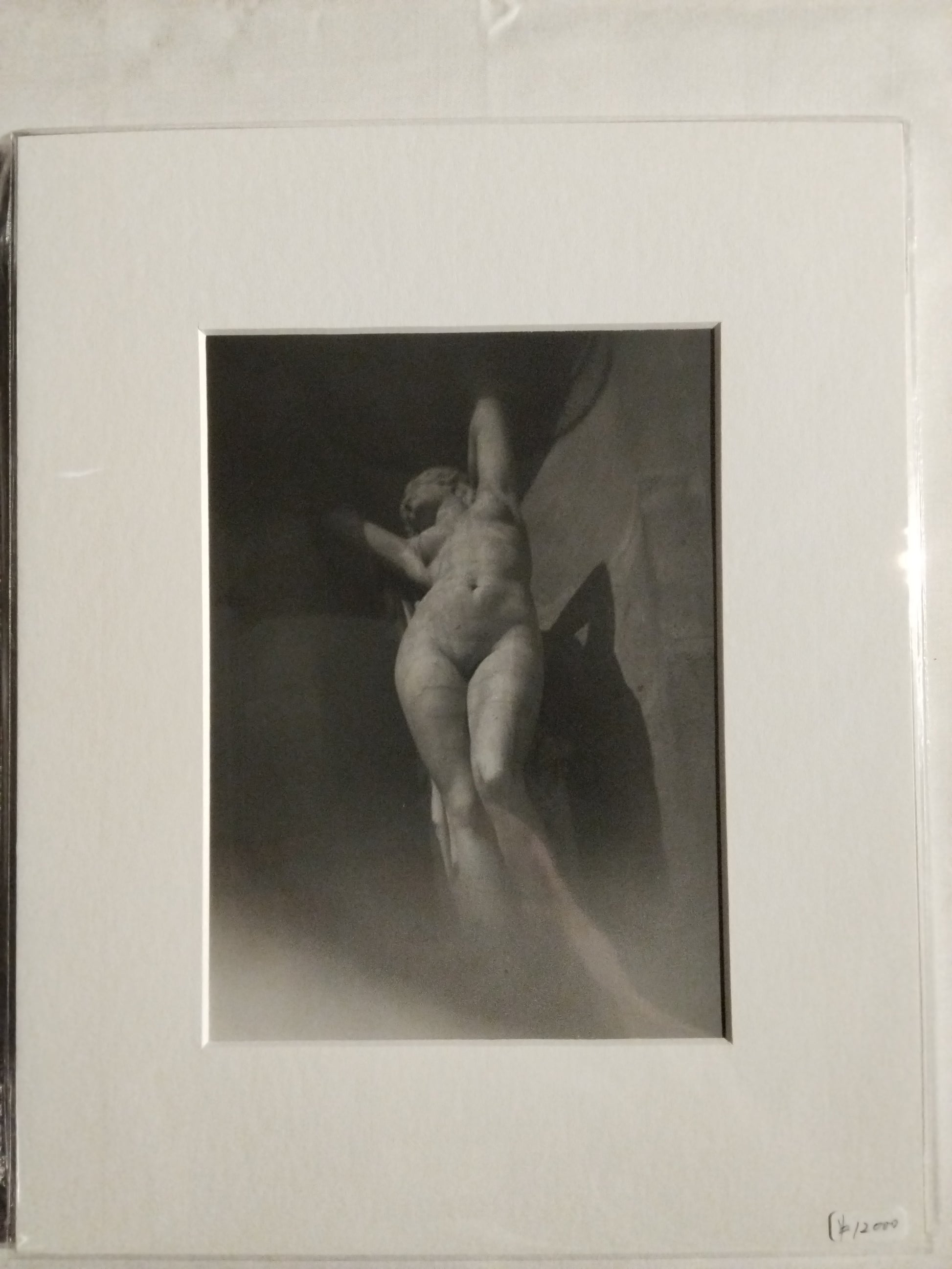 名無し（パリ、2023年）